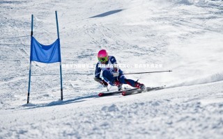 【yy易游体育平台】巴贝尔力挺维尔茨，英超适应期需耐心，暂遇挣扎属正常