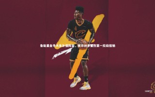 yy易游体育平台-鲁能重金寻大鱼补强阵容，莱昂纳多重伤第一阶段报销